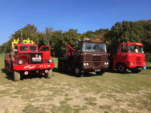tmconsultant-truck-3